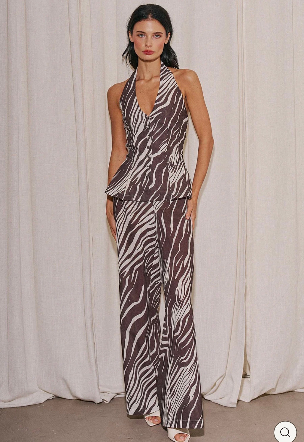 Savanna Zebra Print Set